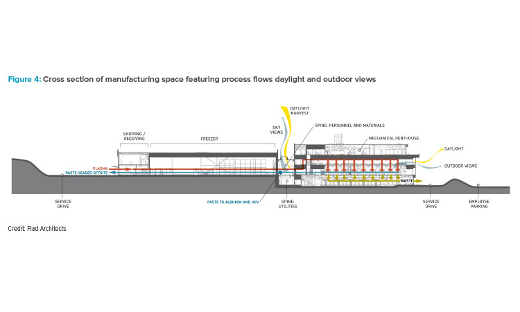 Figure 4: Cross section of manufacturing space featuring process flows daylight and outdoor views