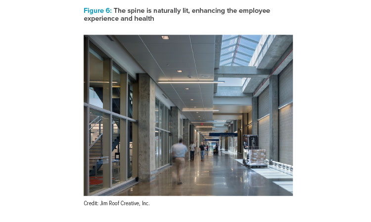 Figure 6: The spine is naturally lit, enhancing the employee experience and health