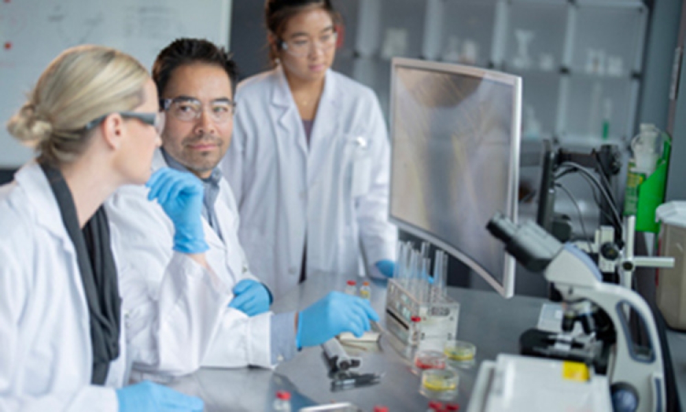 medical_laboratory_technicians_working_together_gettyimages