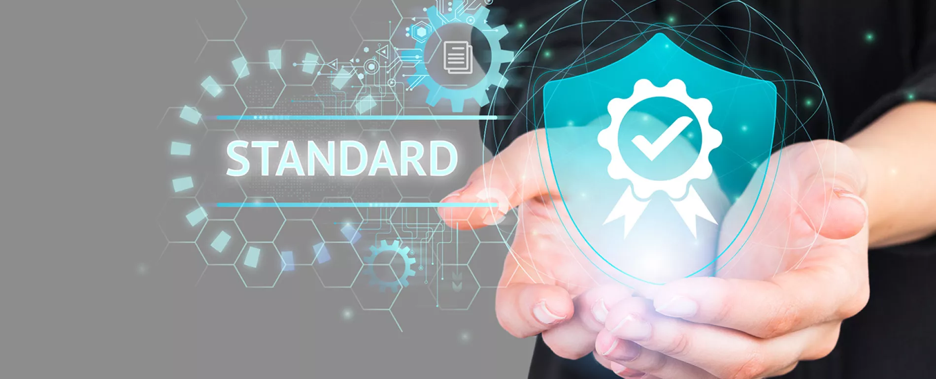 Standard Quality Control Collage Concept