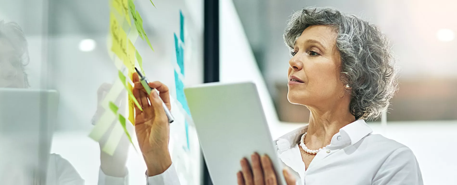 2025 ISPE June Online Live Training